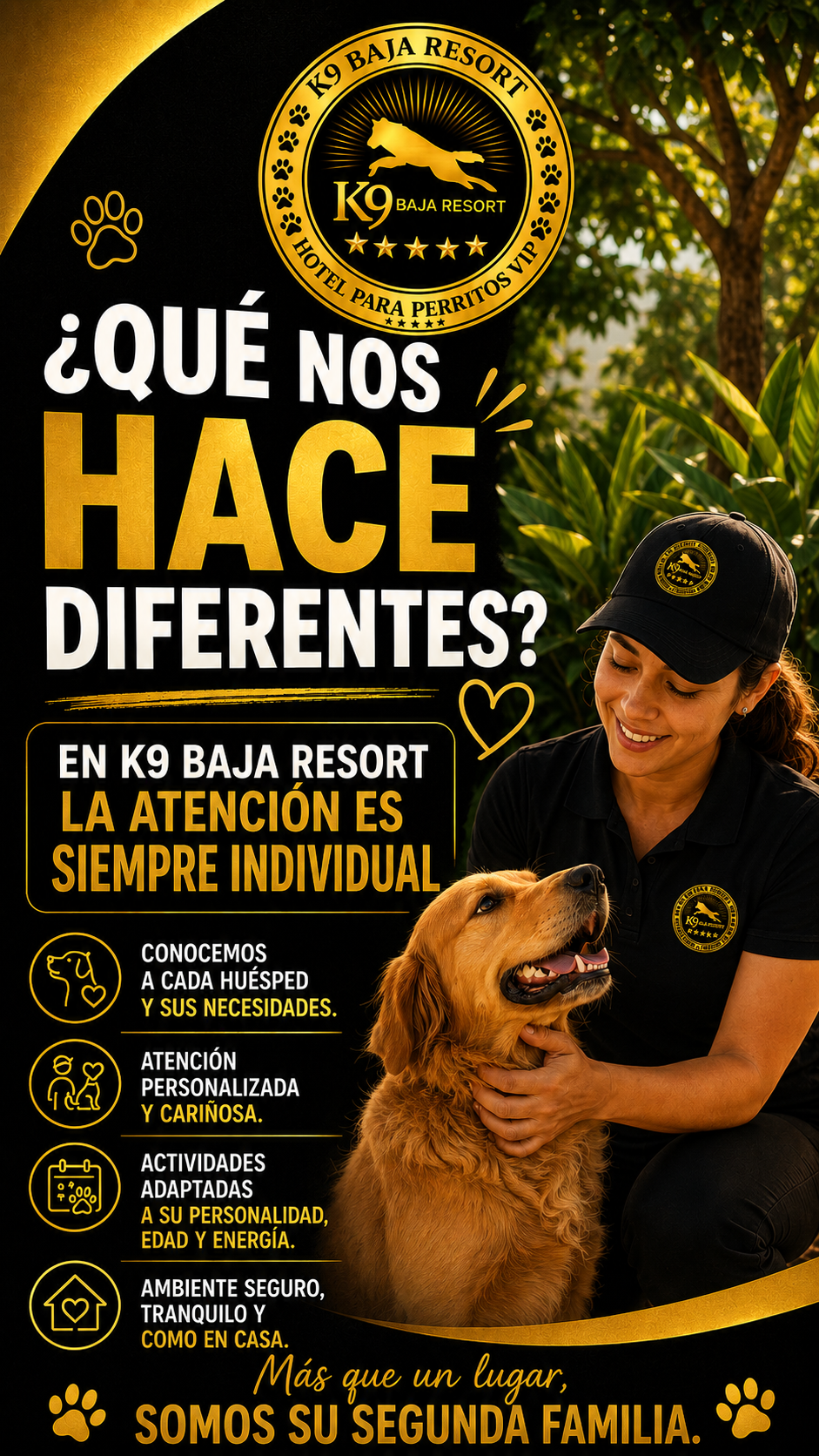Información Reservaciones K9