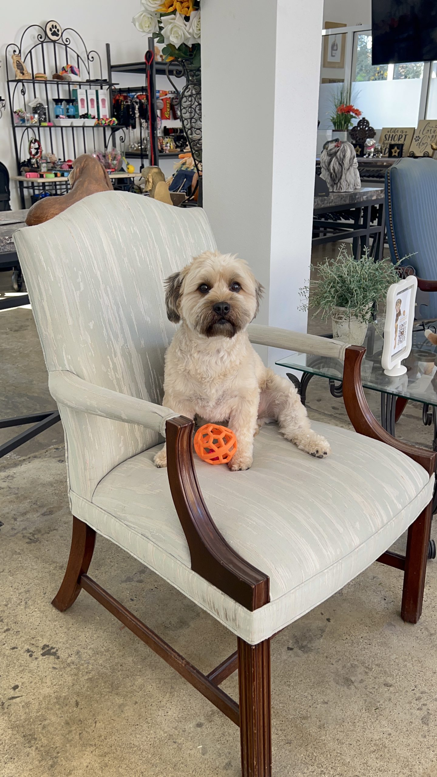 K9 Guest